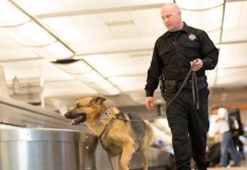 Police officer with police dog