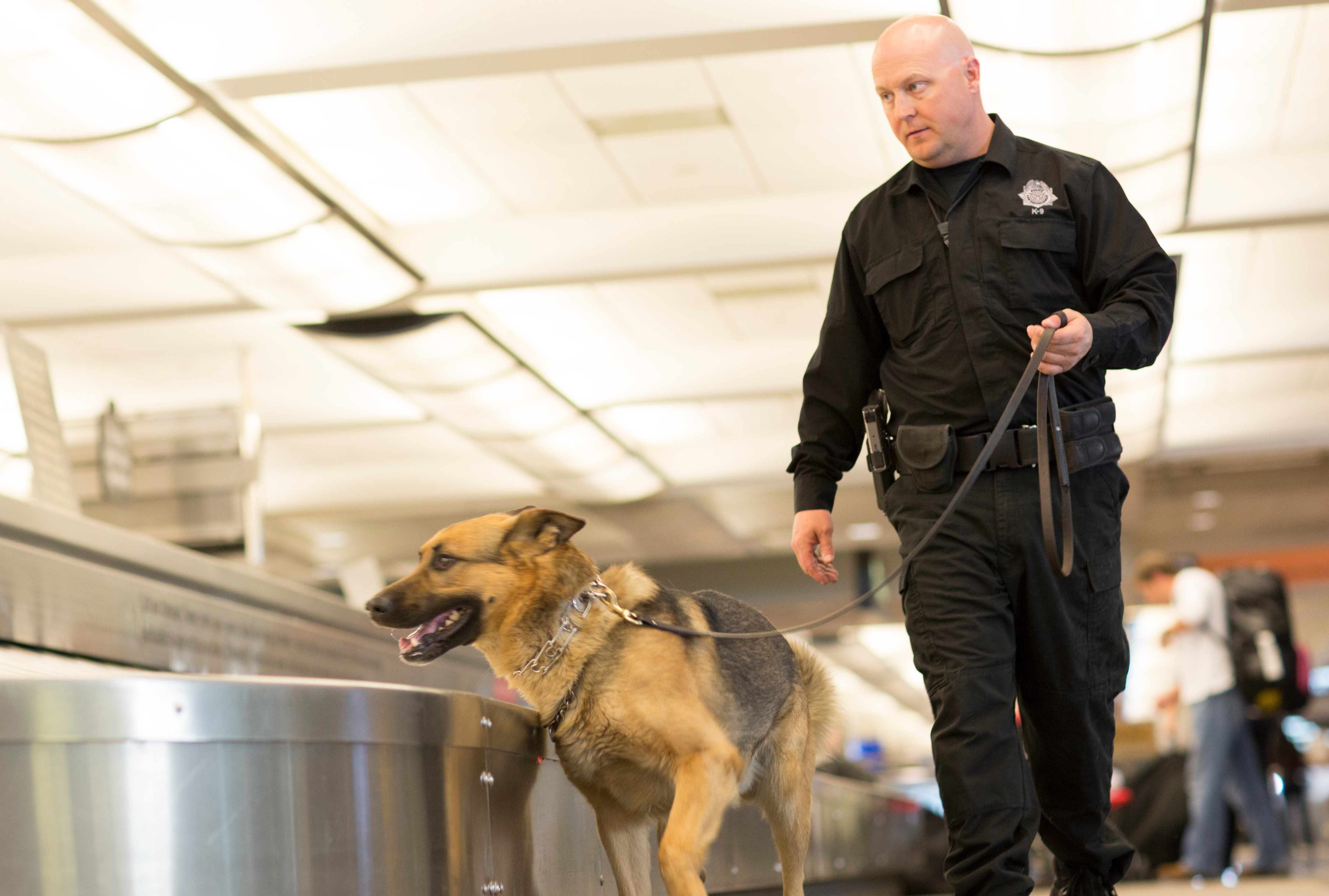 security officer with K-9 police dog